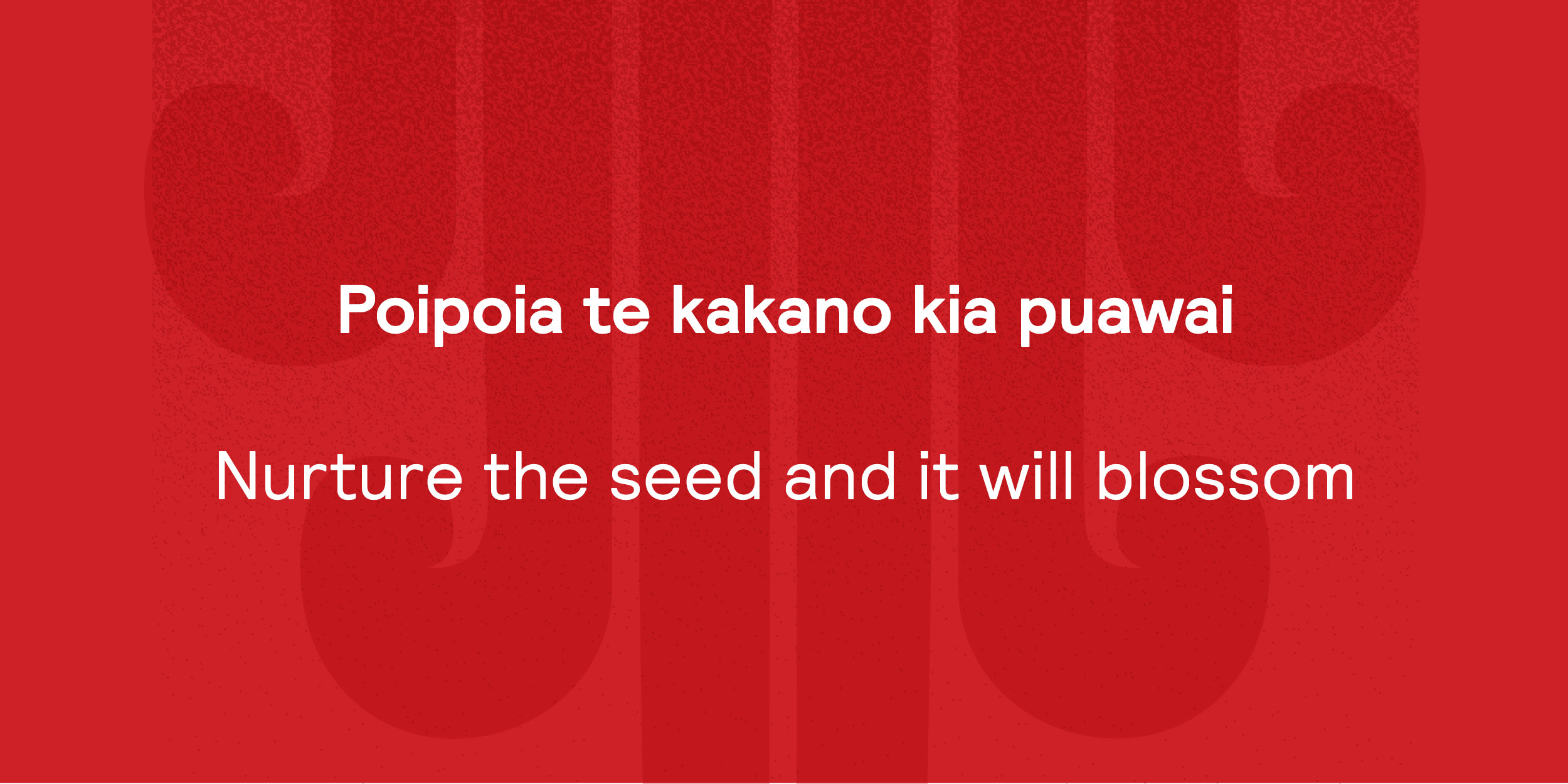 Poipoia te kakano kia puawai | Nurture the seed and it will blossom