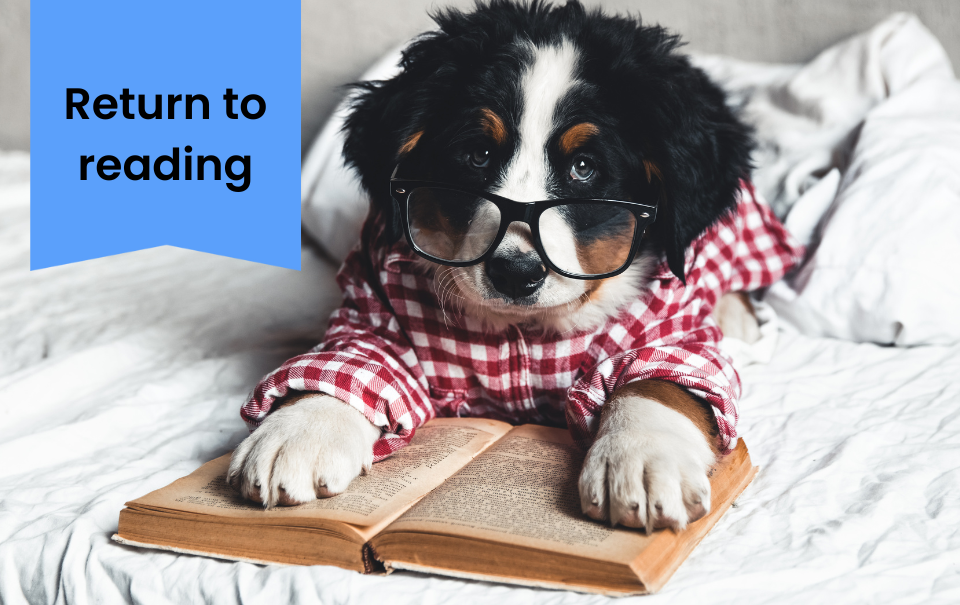 Return to reading blog post