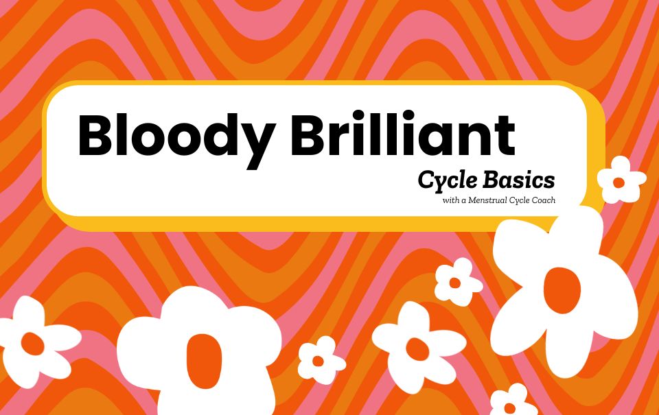Bloody Brilliant Cycle Basics at Wānaka Library