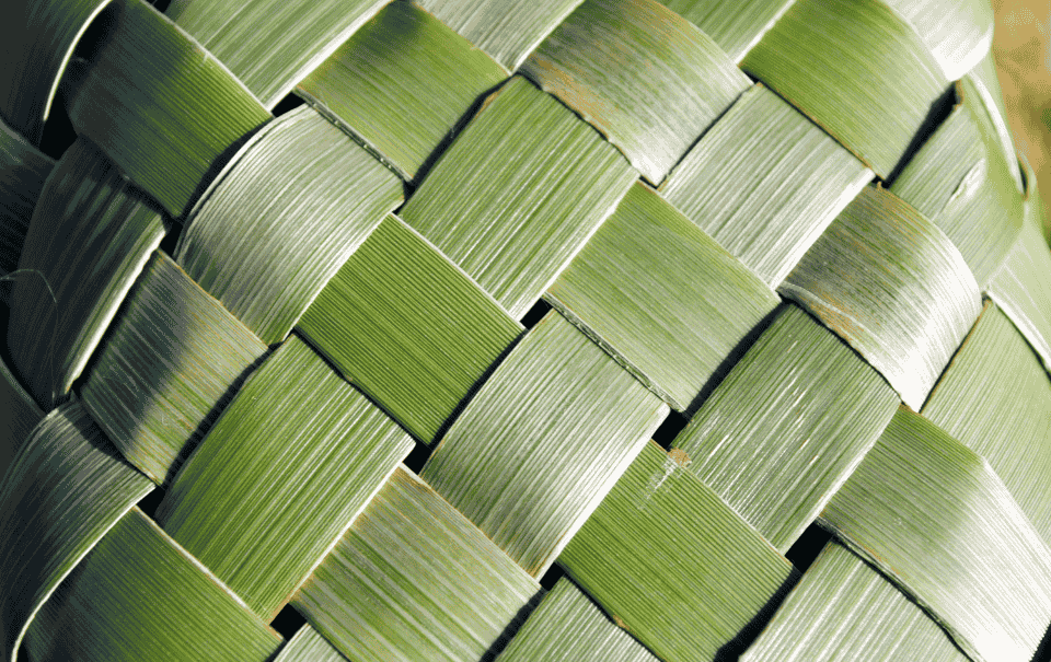 Kapa Kōrero - Practise your Te Reo Maori in a relaxed, friendly space.