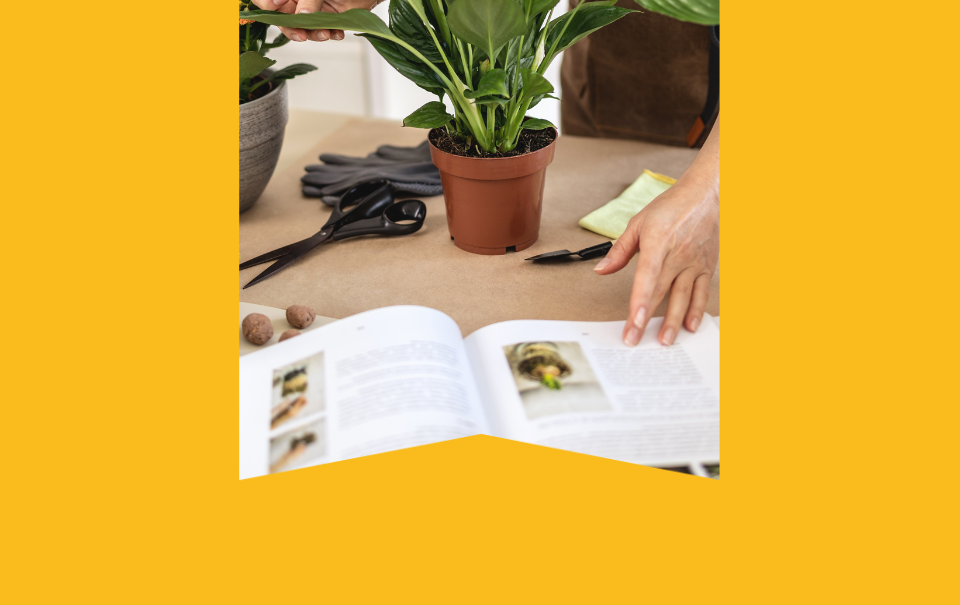 Online gardening courses on UniversalClass