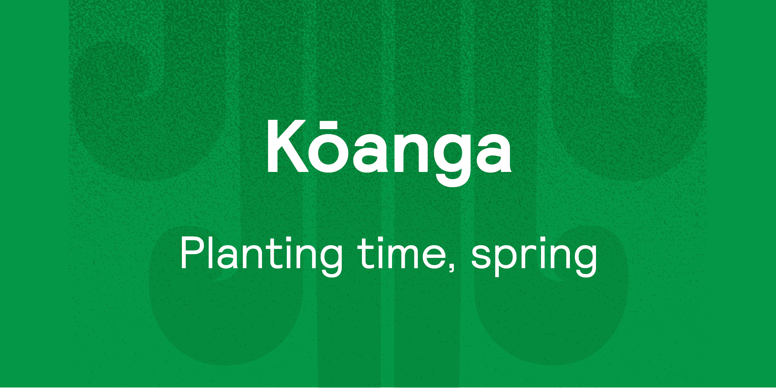 Kōanga | Planting time, spring